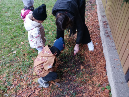 Společné sázení darovaných krokusů od našeho města :-).